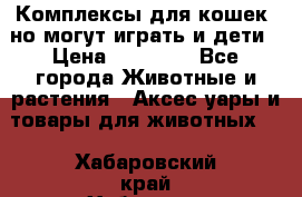 Комплексы для кошек, но могут играть и дети › Цена ­ 11 900 - Все города Животные и растения » Аксесcуары и товары для животных   . Хабаровский край,Хабаровск г.